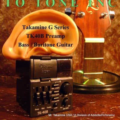 Takamine TK-40B BASS G Series Acoustic BASS Guitar preamp NEW image 2