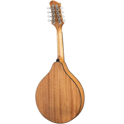 Eastman PCH-M104 A-Style Mandolin w/ Oval Hole, Classic Finish image 2