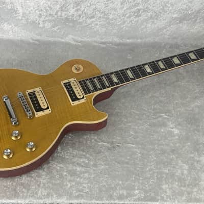 2022 USA Gibson Slash Les Paul Standard electric guitar in Appetite Burst image 13
