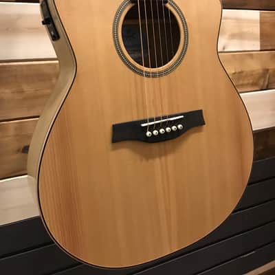 Seagull Natural Elements CW Folk Amber Trail | Reverb