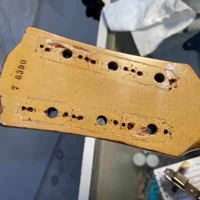 Gibson Les Paul Jr. TV yellow (1957) image 12