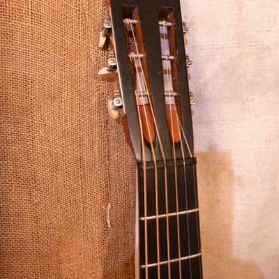 Washburn Model 115 1910 Natural image 4