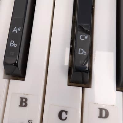 Casio LK-270 61-Key Key-Lighting Keyboard 2010s - Silver image 15