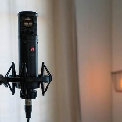 se2200 Class-A Condenser Microphone Bild 10