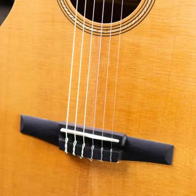 Taylor Academy 12e-N Nylon Grand Concert Acoustic/Electric Guitar with Gig Bag image 13