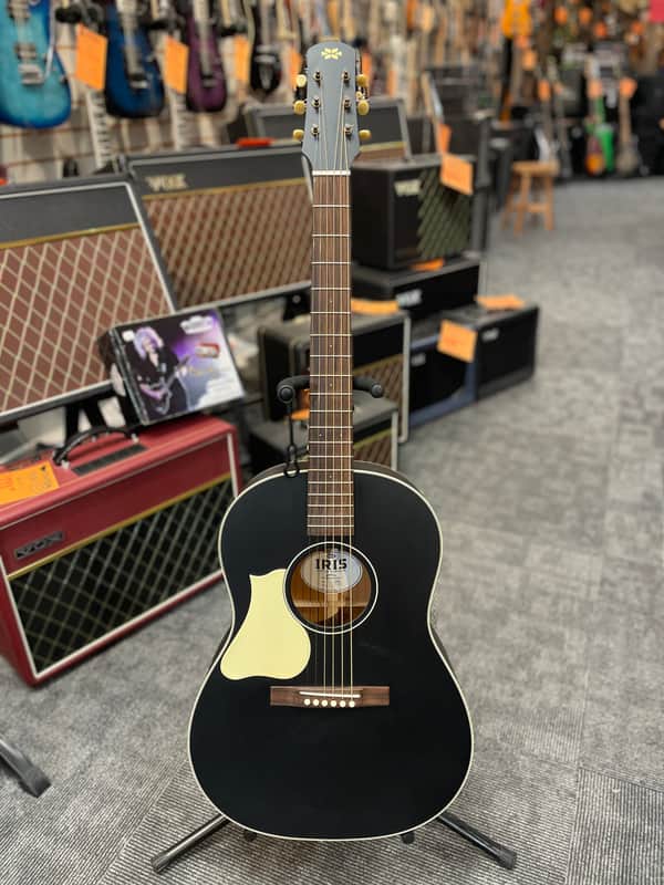 Iris Guitar Company OG image 1