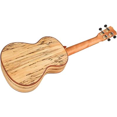 Cordoba 24T Spruce Spalted Maple Tenor Ukulele, Rich Tone & Stunning Looks image 6