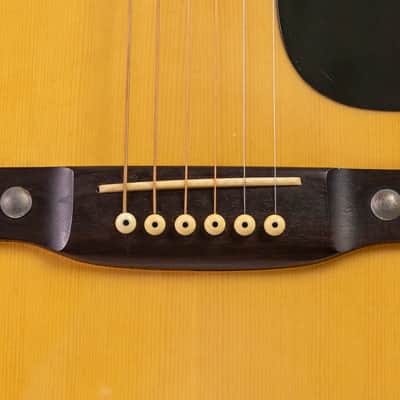 Daion YF-10 Acoustic Six String (built by Yamaki) image 3