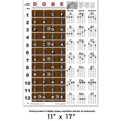 Baritone Ukulele Fretboard Notes & Chord Chart Poster 11x17 Beginner Easy Instruction Learn Book How image 3