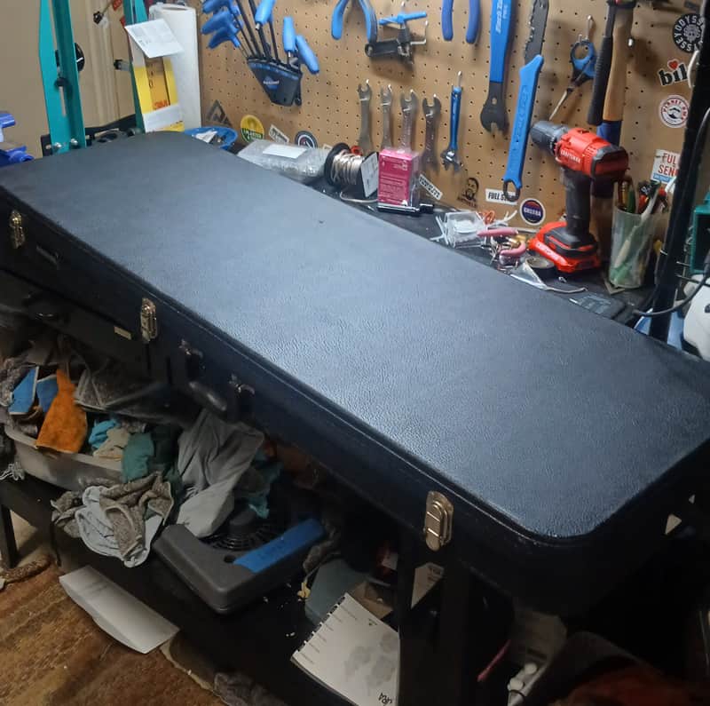 Road Runner Bass hard case 2020s image 1