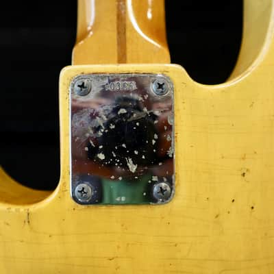 Nacho Guitars Pre-'54 Blackguard Bass 2018 image 18