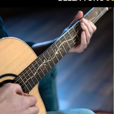 Washburn BTSC40SCE Bella Tono Studio Acoustic Electric Guitar Cutaway image 19