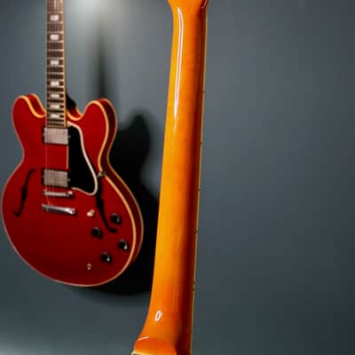 Duesenberg Star Player TV Honey 2018 image 16