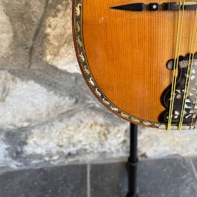 Antique Italian Neapolitan Bowl-Back Mandolin - Ozelli - Late 19th / Early 20th Century with case image 5