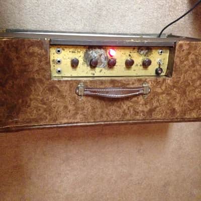 Rare Early DANELECTRO Twin Twelve Super Vibravox Prototype Amp image 6