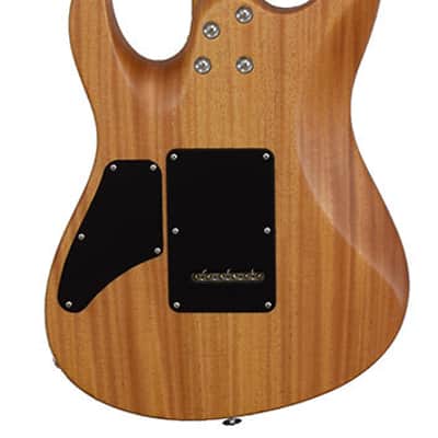 Suhr Modern Satin Flame LTD Island Burst RM image 3