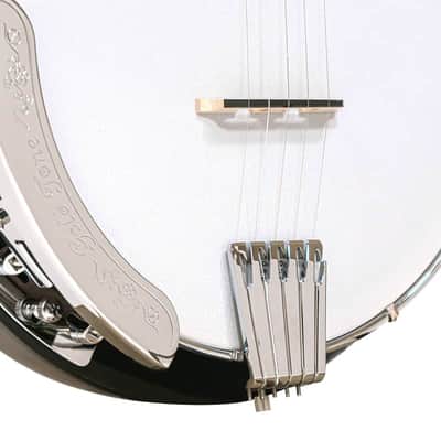 Gold Tone CC-BG Beginners Bluegrass Cripple Creek Banjo Starter Package w/Gig Bag, Strap & DVD image 4