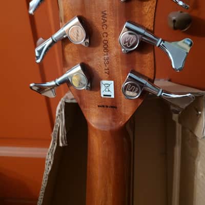 Left handed 6 string Warwick Alien Acoustic bass deluxe image 6