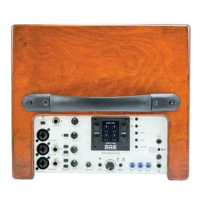 Elite Acoustics EAE ToneWeaver 4-8 Rechargeable 120 Watt 8” Acoustic Amp with 4 Channel Digital Mixer/LFP Battery/Bluetooth - Wood image 4