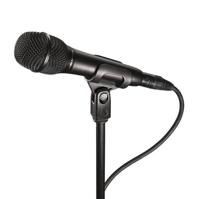 Audio Technica AT2010 Cardioid Condenser Handheld Microphone Bundle with 10ft XLR Pig Hog Mic Cable & Polishing Cloth – Studio-Quality Vocal Mic for Live Performance & Recording image 4