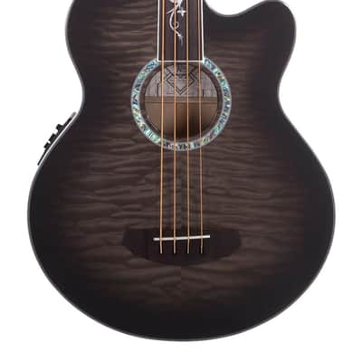 Michael Kelly Dragonfly 4 Fretless Acoustic Bass with Smoke Burst Finish image 2