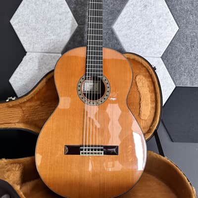 6 String Contrabass Guitar (Octave Bass) - Esteve PS75 - All Solid Wood/Cedar/Indian Rosewood - 750mm Scale Length image 19