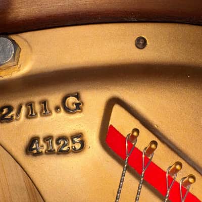 Steinway&Sons M 1916 - Mahogany Satin image 14