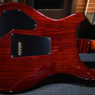 PRS Wood Library DGT 10-Top Ebony - Copperhead Cherry Burst #2554 image 10