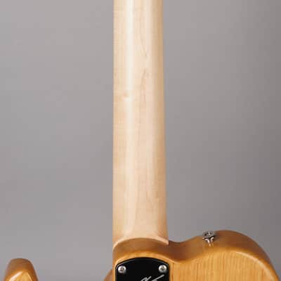 Paul Reed Smith USA Myles Kennedy Signature - PRS - 2024 - Antique Natural w/HSC image 11