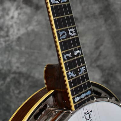 Ode Style D 5 String Banjo Vintage 1965 Brazilian Rosewood Neck & Resonator w Case & FAST Shipping image 10