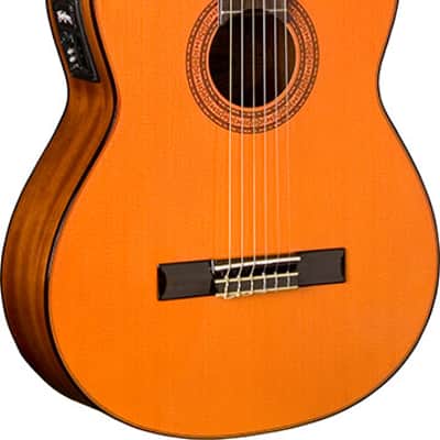 Washburn CLASSICAL C5CE image 1