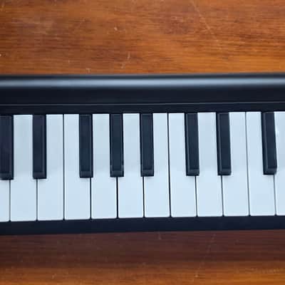 Korg microKEY 25 USB MIDI Controller with Sleeve image 6