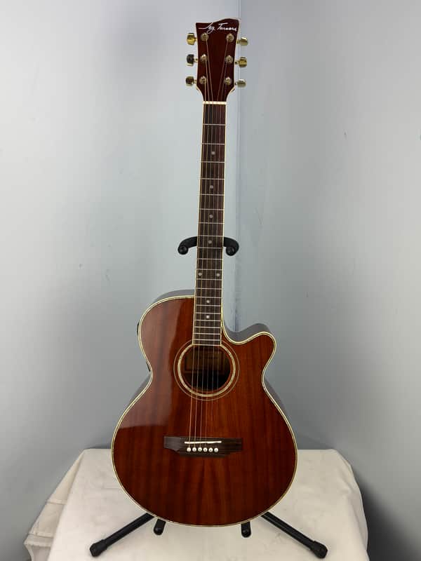 Jay Turser JTAC-50EQ Acoustic-Electric Cutaway Guitar w/ Brand New Great Divide Gig Bag image 1