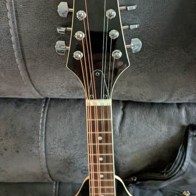 Eleca EMA-1 Mandolin...w/ New Gig Bag and Accessories image 9