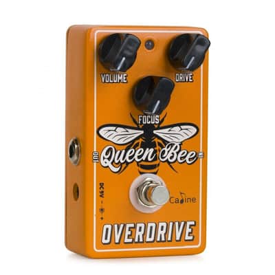 Caline CP-503 Queen Bee Overdrive Pedal, FREE PICK + HOLDER+ FREE SHIP USA image 3