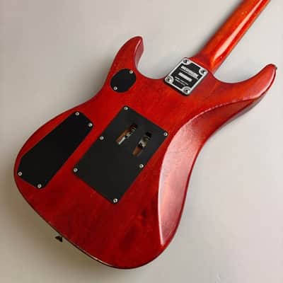 Washburn N2 image 5