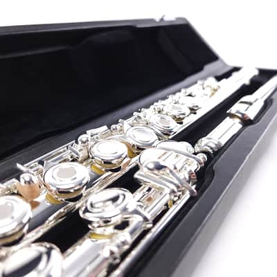 Di Zhao DZ 701 Flute Open Hole B Foot Split E Sterling Silver Pre-Pro NEW image 1