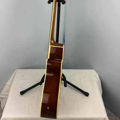 Jay Turser JTAC-50EQ Acoustic-Electric Cutaway Guitar w/ Brand New Great Divide Gig Bag image 19