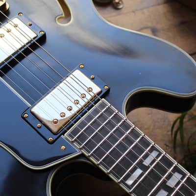 EASTMAN "LIMITED 50 pieces ONLY T59/TV-B Limited Edition, Gold Hardware" HARDCASE, 4, 05 KG image 8