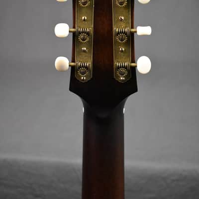 Iris SG-11 Burst w/ Firestripe Pickguard & 1-3/4" Nut image 24
