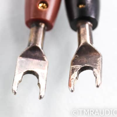 Audioquest Volcano Speaker Cables; 6ft Pair; 72v DBS image 11