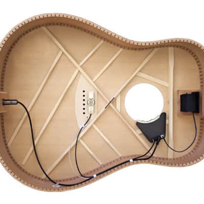 L.R. Baggs Anthem Acoustic Guitar Pickup Mixing System & Tru Mic Technology image 2