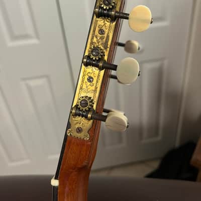 Washburn Concert/Parlor Circa 1885 - Natural image 12