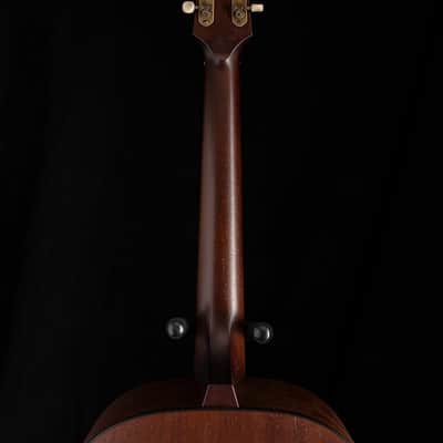 Iris Guitar Company DF Natural image 12