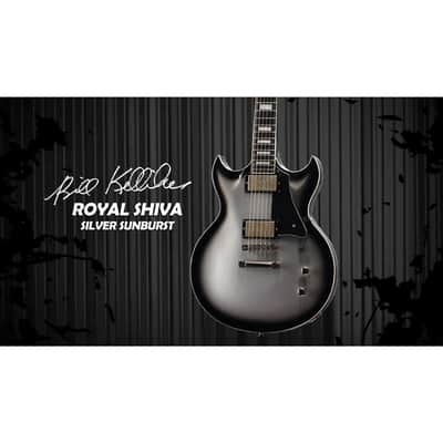 ESP LTD Bill Kelliher Royal Shiva 6 String Silver Sunburst Electric Guitar image 4