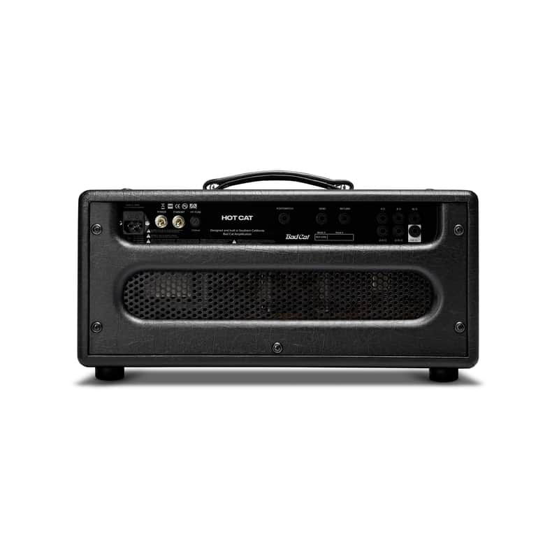Bad Cat Hot Cat Handwired Series 2-Channel 45-Watt Guitar Amp Head image 2