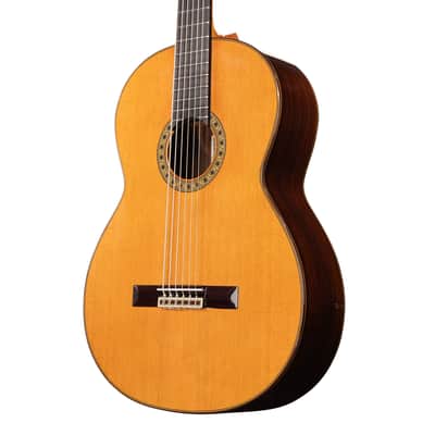 6 String Contrabass Guitar (Octave Bass) - Esteve PS75 - All Solid Wood/Cedar/Indian Rosewood - 750mm Scale Length image 13