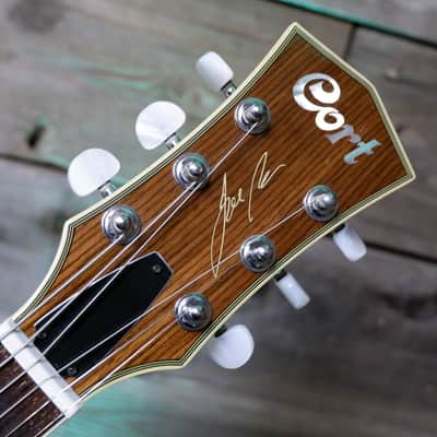Cort BECK-6 Joe Beck Signature w/ Charlie Christian style Pickups early 2000's - Natural w/ Hard Case image 2