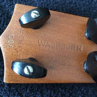Vintage Lyon & Healy Washburn Model 700 Soprano Ukulele  Circa 1925 image 11