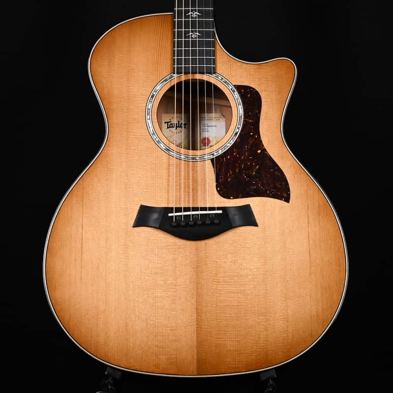 Taylor 514ce w/ Torrefied Spruce Top & Urban Ironbark Back and Sides Acoustic-Electric Guitar 2024 (1208224074) image 1